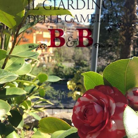B&B Il Giardino Delle Camelie パレストリーナ エクステリア 写真