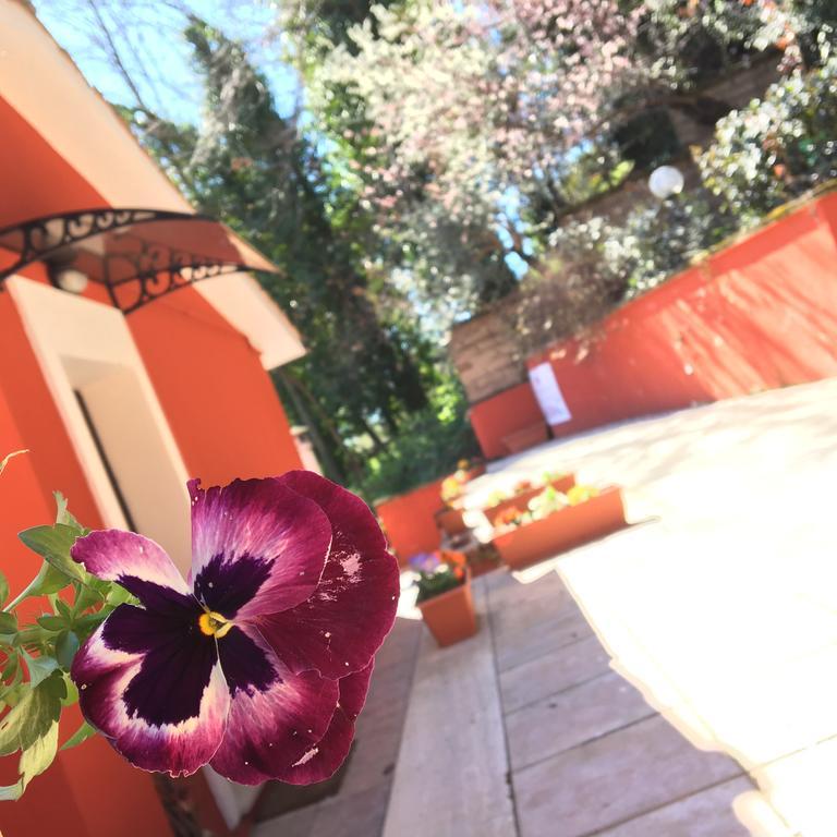 B&B Il Giardino Delle Camelie パレストリーナ エクステリア 写真